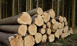 指接木方绿色环保，大大提高木材利用率